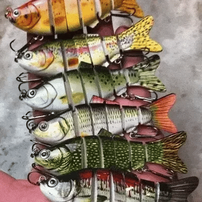 🔥Bionic Lure —Catch Big Fish Fast! 🎣